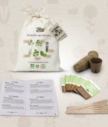 Kit de graines bio - Les plantes aromatiques
