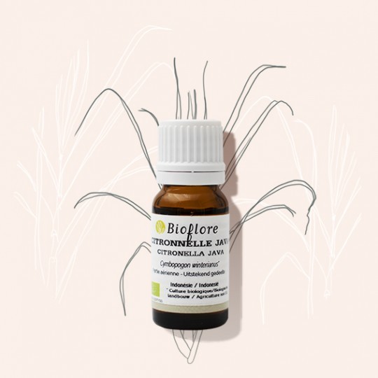 Huile essentielle de Citronnelle de Java Bio (10 ml)