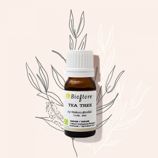 Huile essentielle de Tea tree Australie Bio (10 ml)