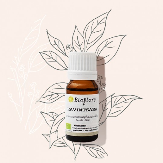 Huile essentielle de Ravintsara Bio (10 ml)