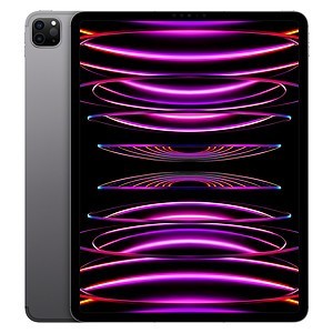 Apple iPad Pro (2022) 12.9 pouces 256 Go Wi-Fi + Cellular Gris Sidéral