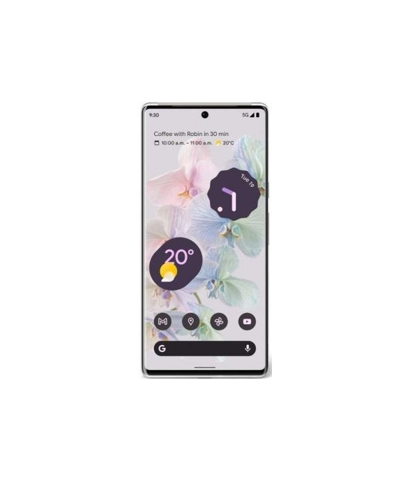 Google Pixel 6 Pro 128Go Blanc