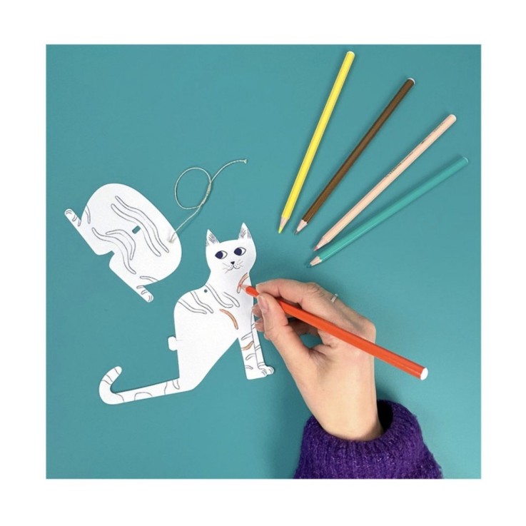 Mes chats fluos