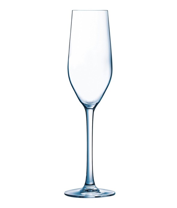 Lot de 12 flûtes 16cl - Sens