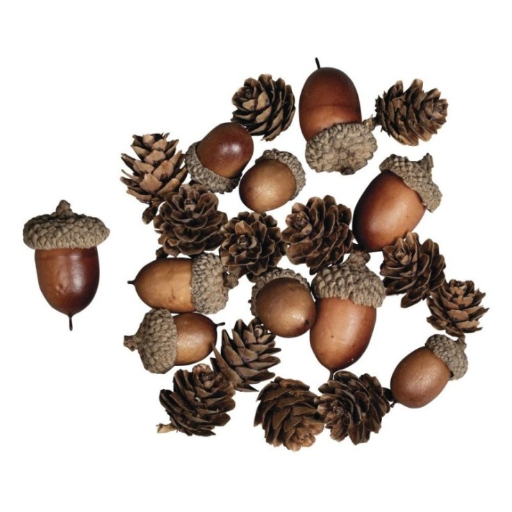 Cônes de gland Mix, assort. 2 - 4cm, 27 pces