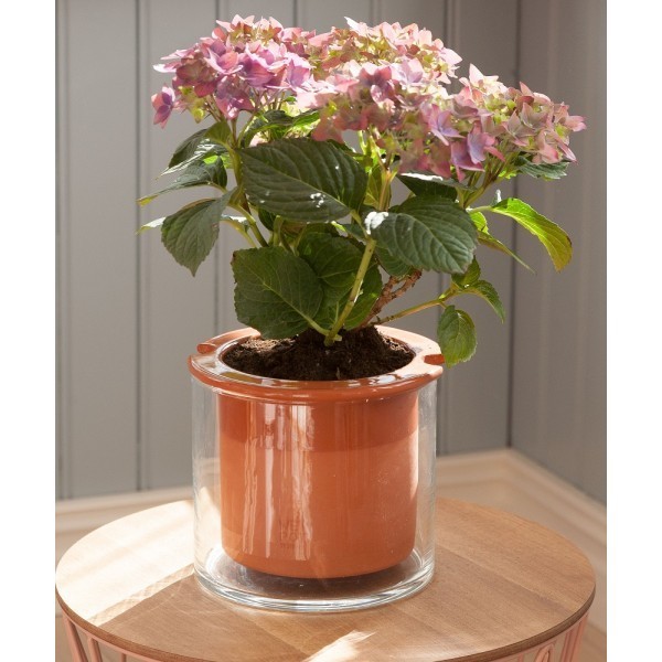 Pot autonome Wet Pot L en terre cuite