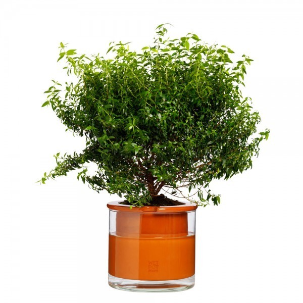 Pot autonome Wet Pot M en terre cuite