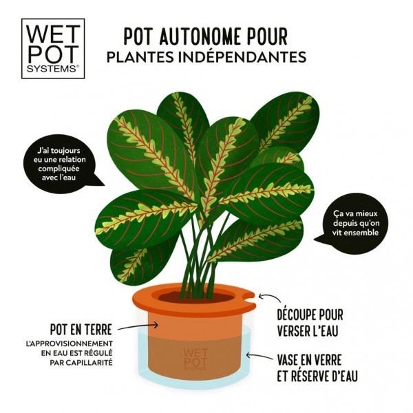 Pot autonome Wet Pot S en terre cuite