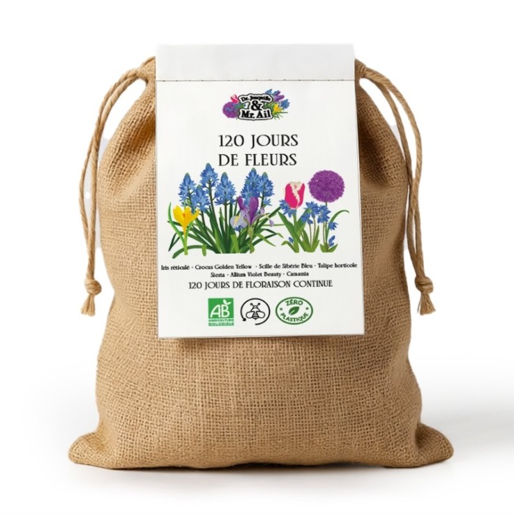 Kit 120 Jours de Fleurs – 37 Bulbes Bio