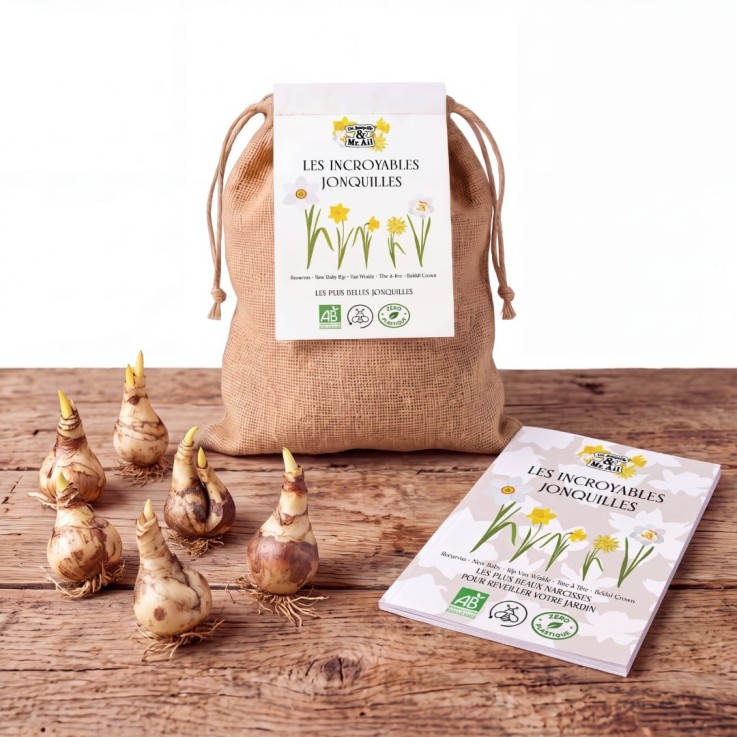 Kit Les Incroyables Jonquilles - 35 Bulbes de fleurs Bio