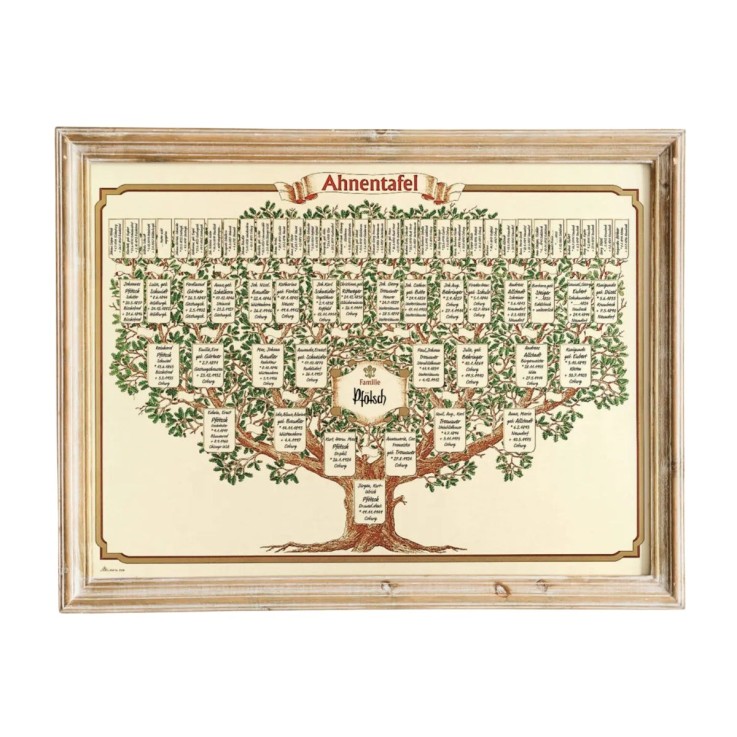 Grand Arbre Généalogique - Format 700 x 500