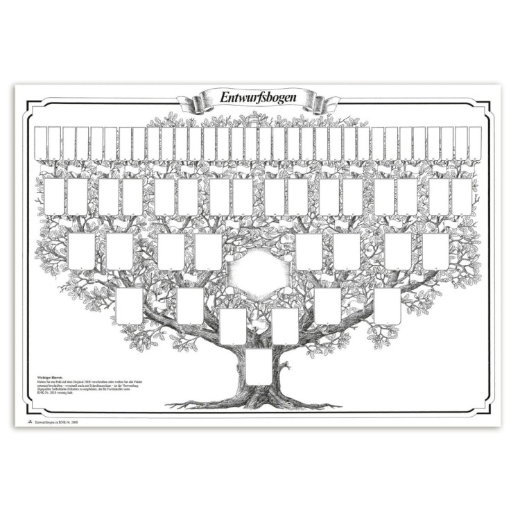 Grand Arbre Généalogique - Format 700 x 500