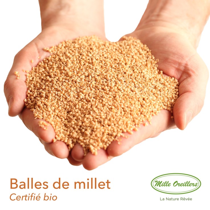 Coussin de maternité et d'allaitement en balles de millet bio (cosses de millet)