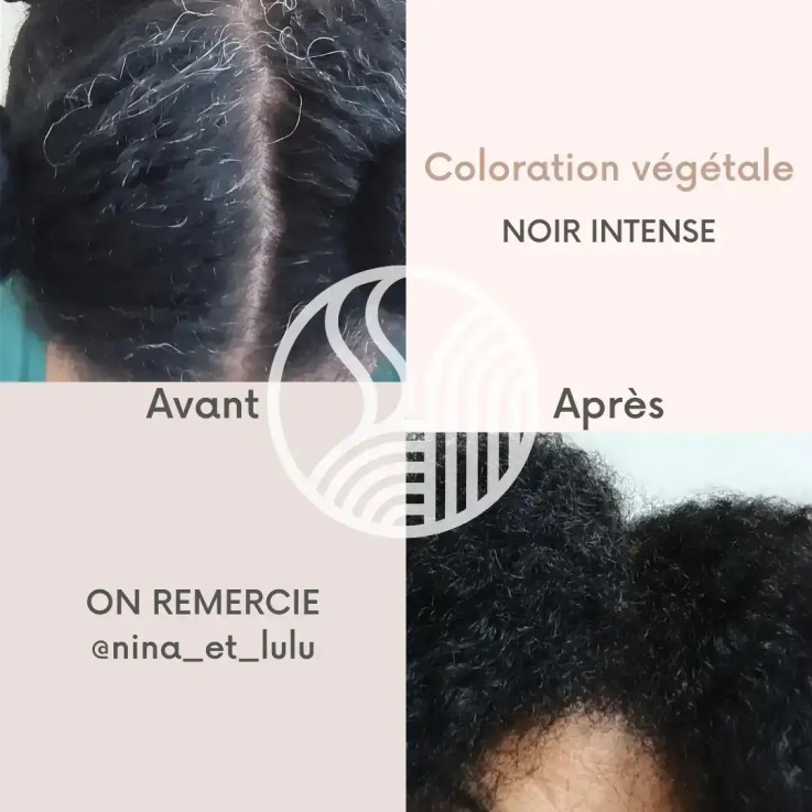 Coloration végétale Noir intense Bio (2x100g)