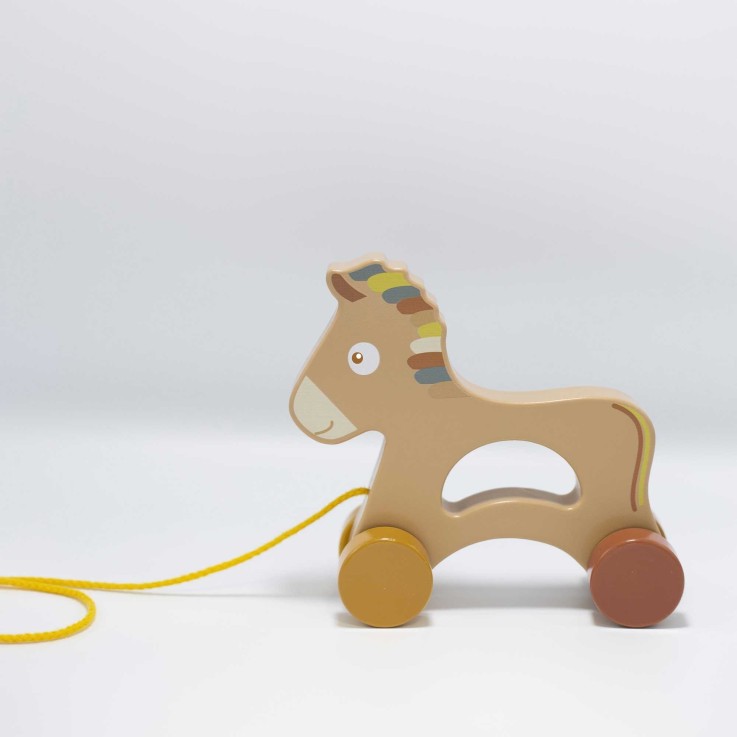 Jouet en bois bébé à tirer Bois