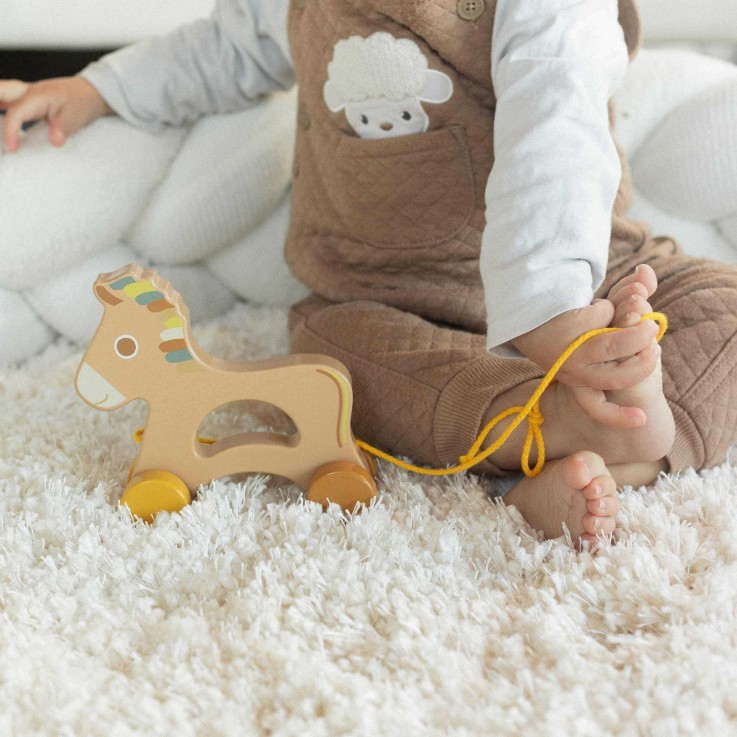 Jouet en bois bébé à tirer Bois