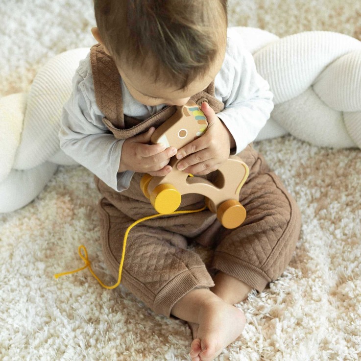 Jouet en bois bébé à tirer Bois