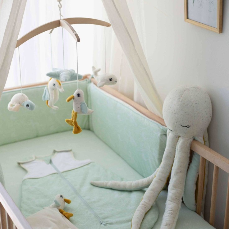 Drap housse Coton