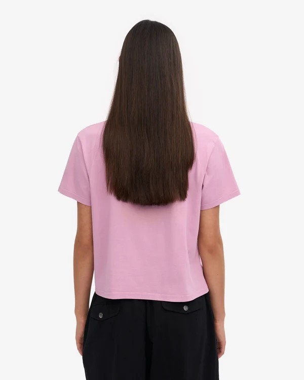 Tee-shirt crop boxy Cherry Blossom