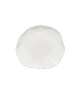 Fenouil Blanc