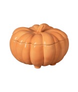 Terracotta Orange