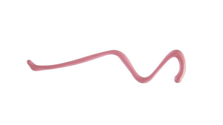 CRAYON POUR BOUGIE 30ML ROSE