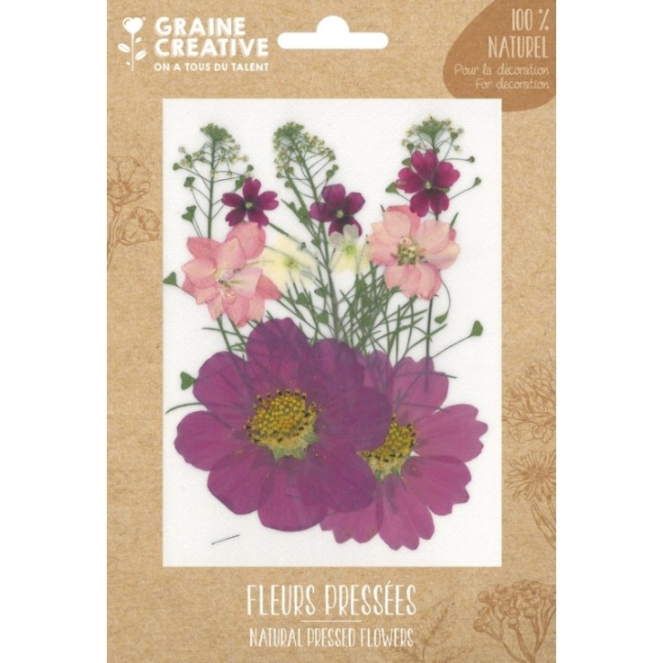 FLEURS PRESSEES PRAIRIE PARME - 14 PCS