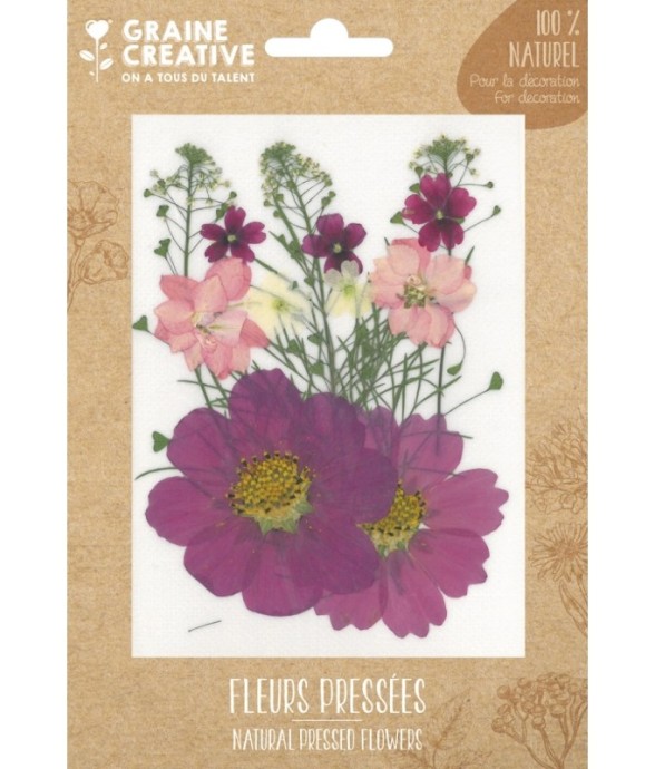FLEURS PRESSEES PRAIRIE...