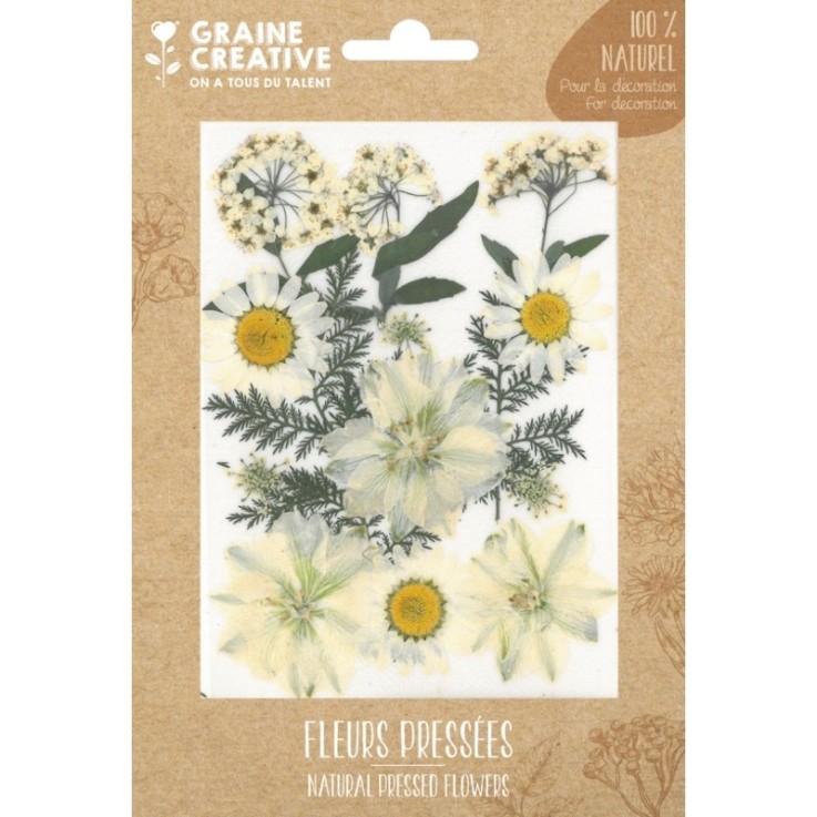 FLEURS PRESSEES PRAIRIE BLANC - 15 PCS