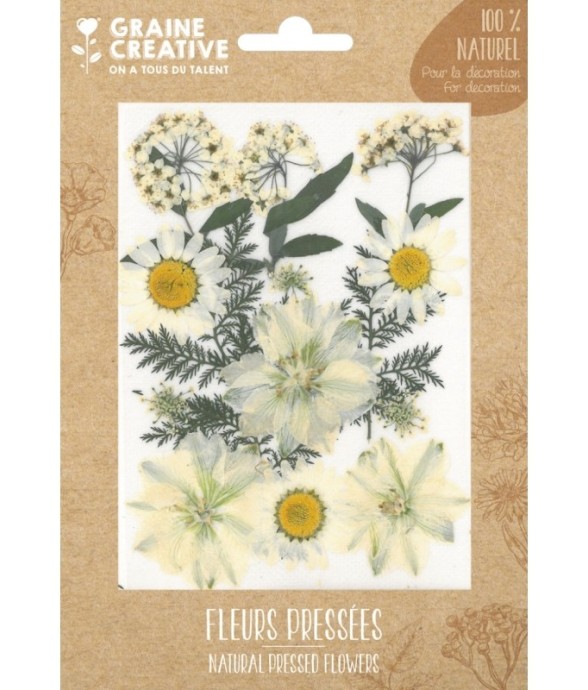 FLEURS PRESSEES PRAIRIE...