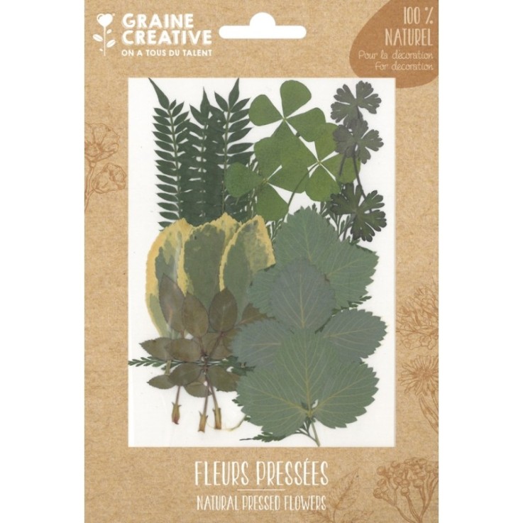 FLEURS PRESSEES FOREST 2 - 21 PCS