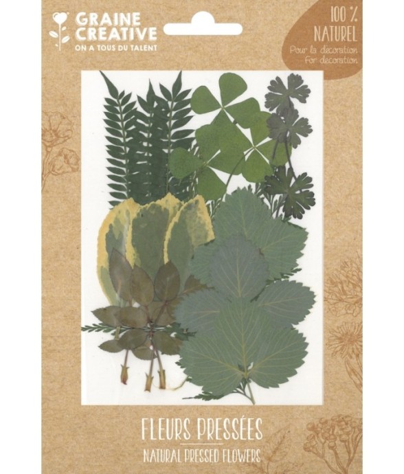 FLEURS PRESSEES FOREST 2 -...