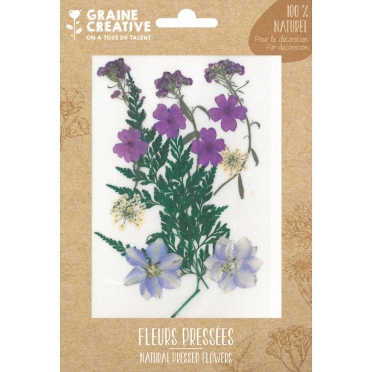 FLEURS PRESSEES PRAIRIE VIOLET - 13 PCS