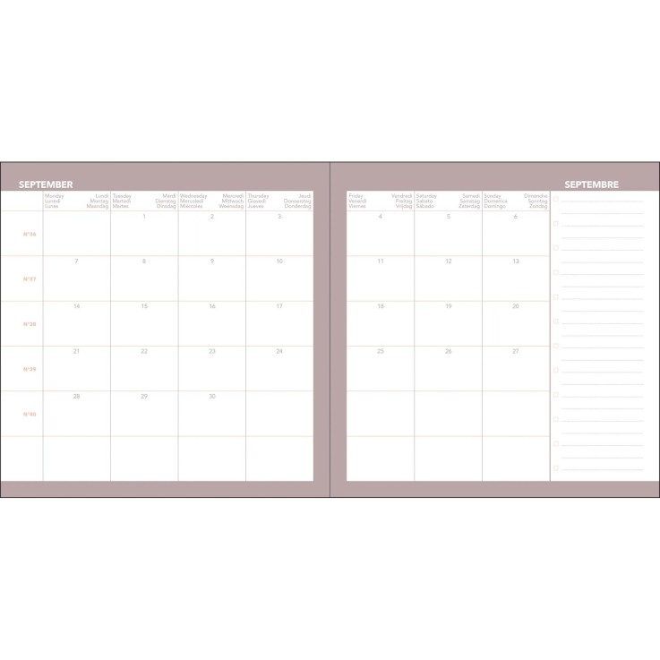 Agenda 2027 - Exécutif Color - Semainier Planning - Andrea Marron - 16x16cm