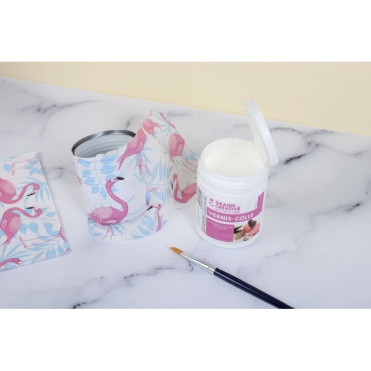 Vernis-colle brillant 250 ml