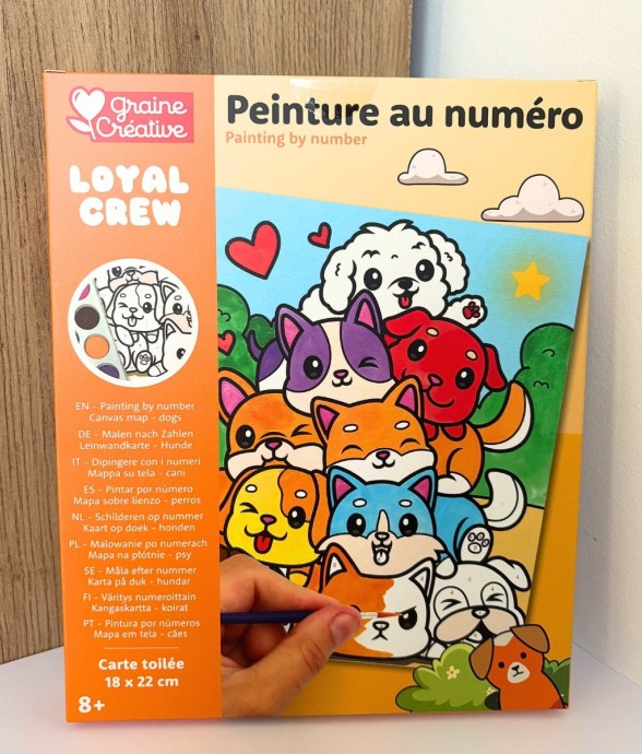 Kit de peinture au numéro...