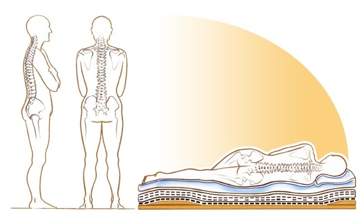 Matelas en latex naturel & coton bio