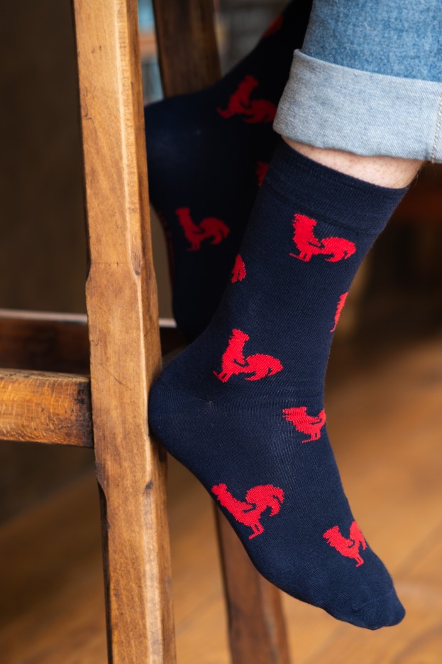 Chaussettes hautes Le Coq Coton bio