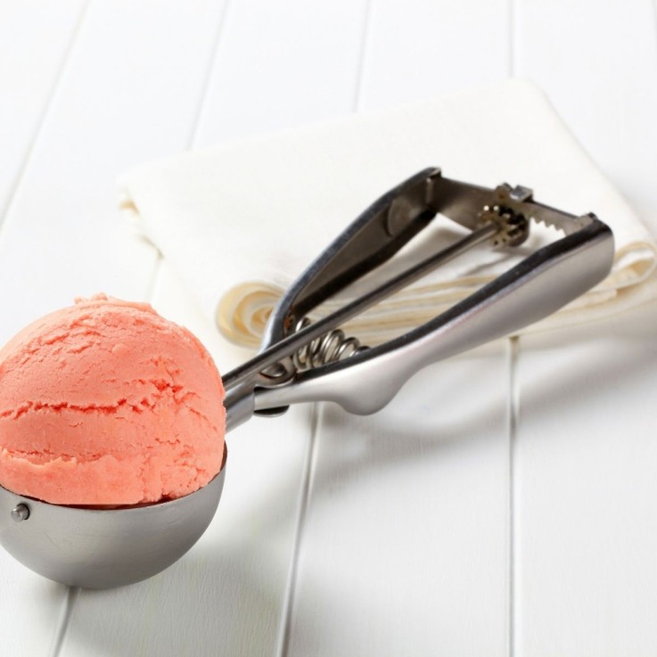 Lot de 2 cuillères à glace en inox - 22,5 x 5 cm