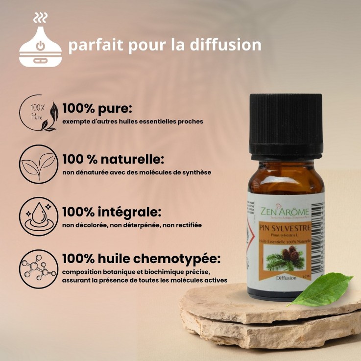 Huile essentielle de Pin sylvestre 100 % pure - 10 ml