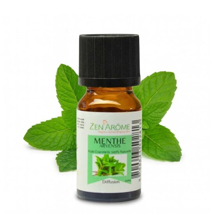 Huile essentielle de menthe arvensis pure et naturelle - 10 ml