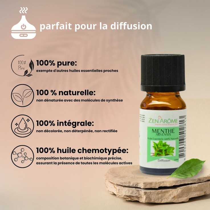 Huile essentielle de menthe arvensis pure et naturelle - 10 ml