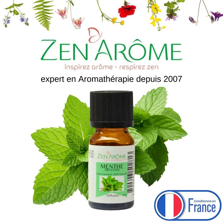 Huile essentielle de menthe arvensis pure et naturelle - 10 ml