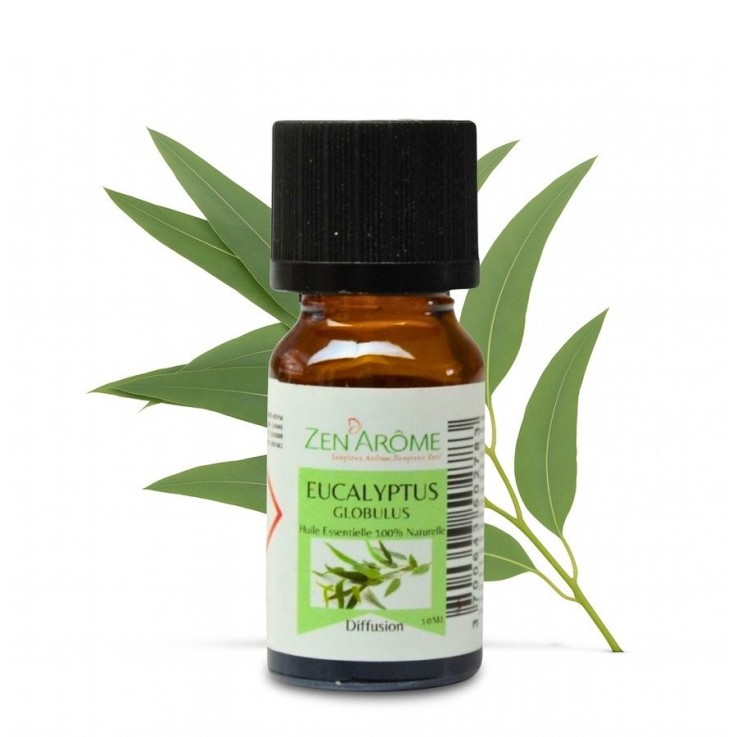 Huile essentielle d’eucalyptus globulus 100 % pure - 10 ml