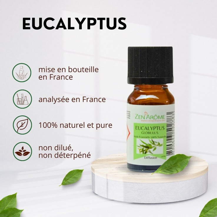 Huile essentielle d’eucalyptus globulus 100 % pure - 10 ml