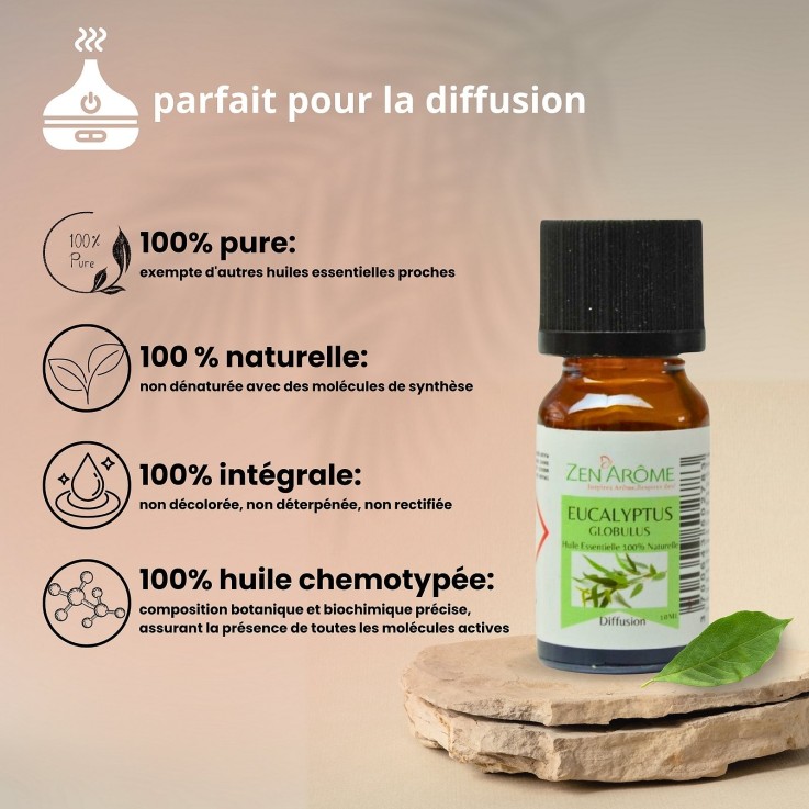 Huile essentielle d’eucalyptus globulus 100 % pure - 10 ml