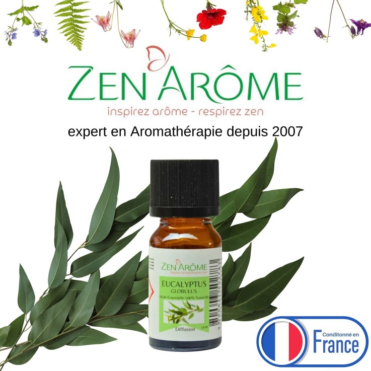 Huile essentielle d’eucalyptus globulus 100 % pure - 10 ml