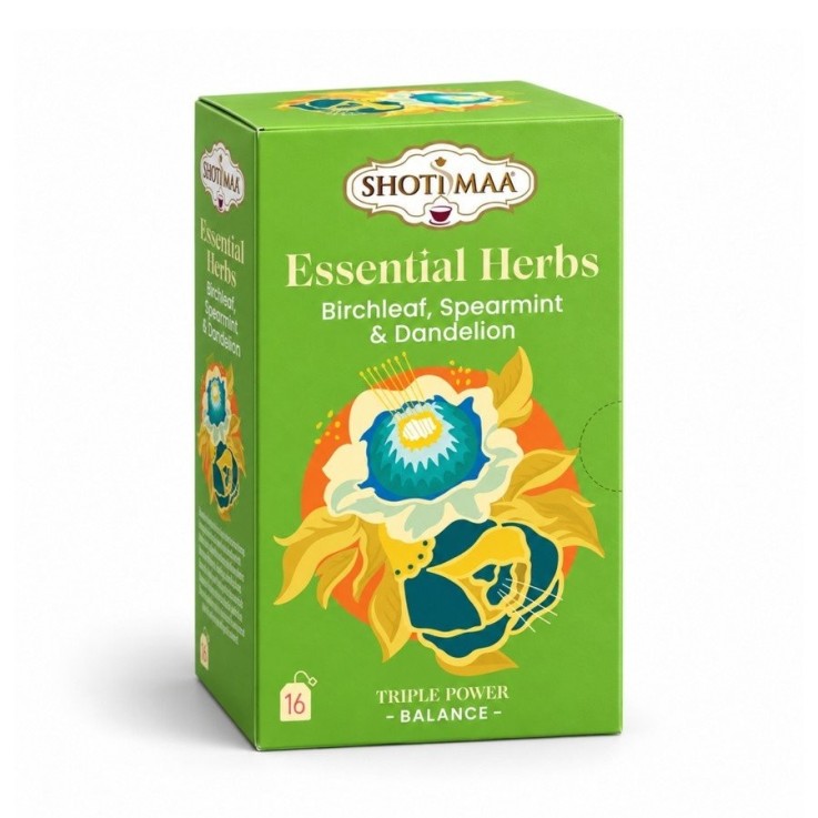 Tisane bio sans caféine Équilibre Basique