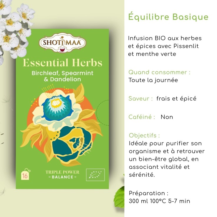 Tisane bio sans caféine Équilibre Basique