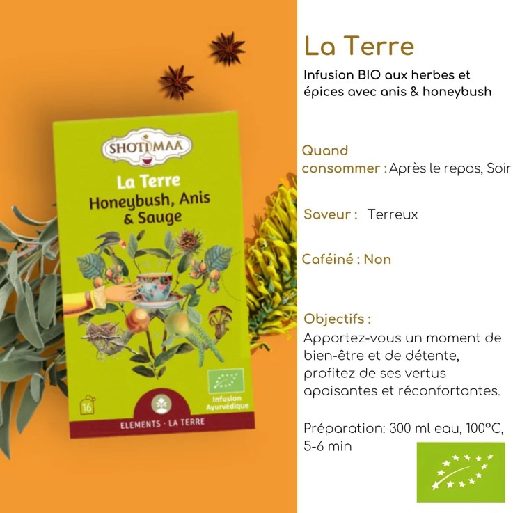 Set de 4 infusions biologiques pour l’instant présent